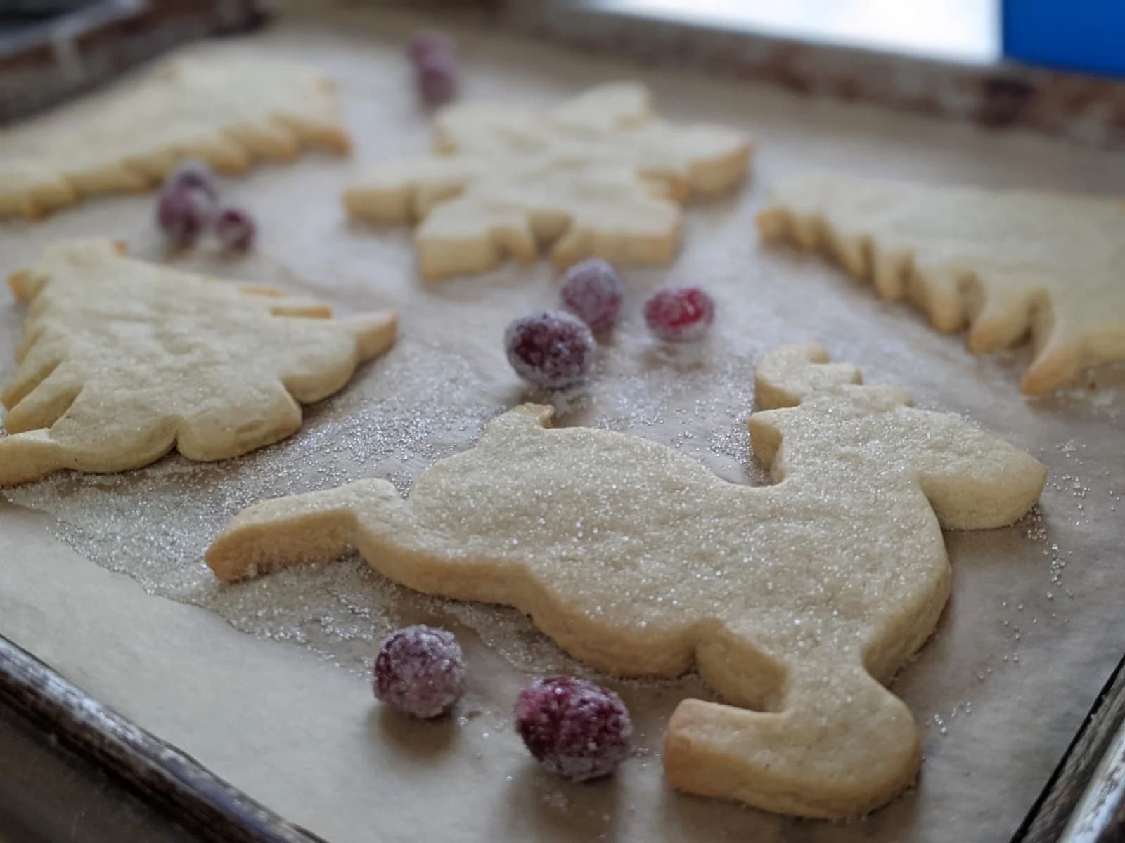 Decorated sugar cookies